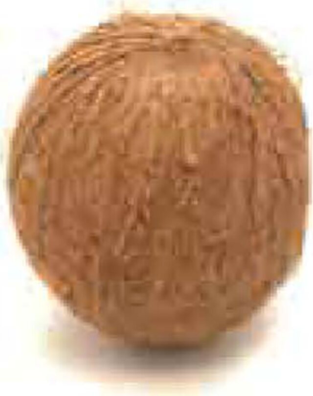 Cocotier