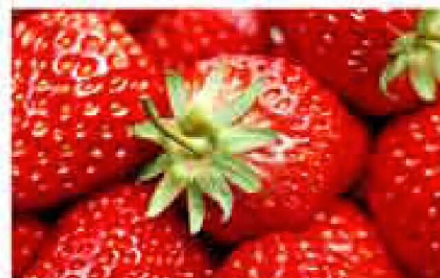 Fraises