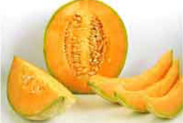Melon