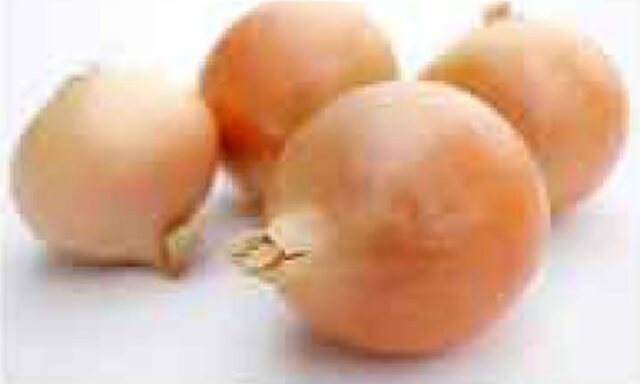 Oignon