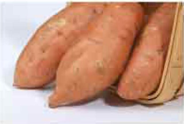 Patate douce