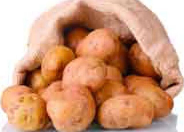 Pomme de terre